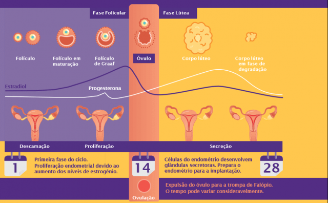 Endometrite e falha de implantação: existe relação?